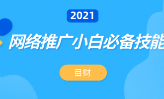 网络推广：小白必备的引流技能