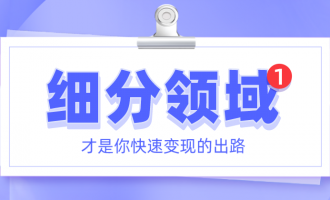 细分领域才是你快速变现的出路