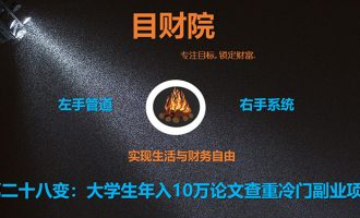 《目财36变》第二十八变：大学生年入10万论文查重冷门副业项目