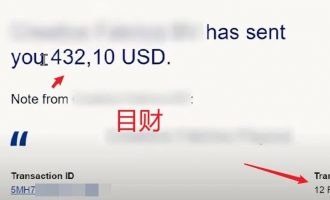 海外捞金项目16：利用Google文档和在线平台在家轻松赚取额外收入
